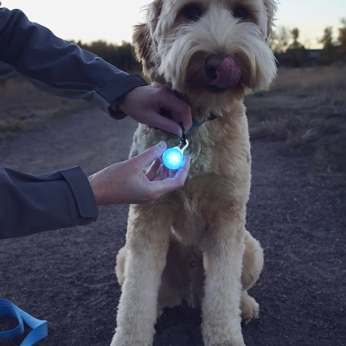 Nite Ize SpotLit® Rechargeable Collar Light - Blue
