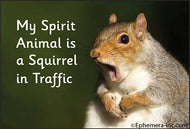 Magnet-My spirit animal is a squirrel in traffic.