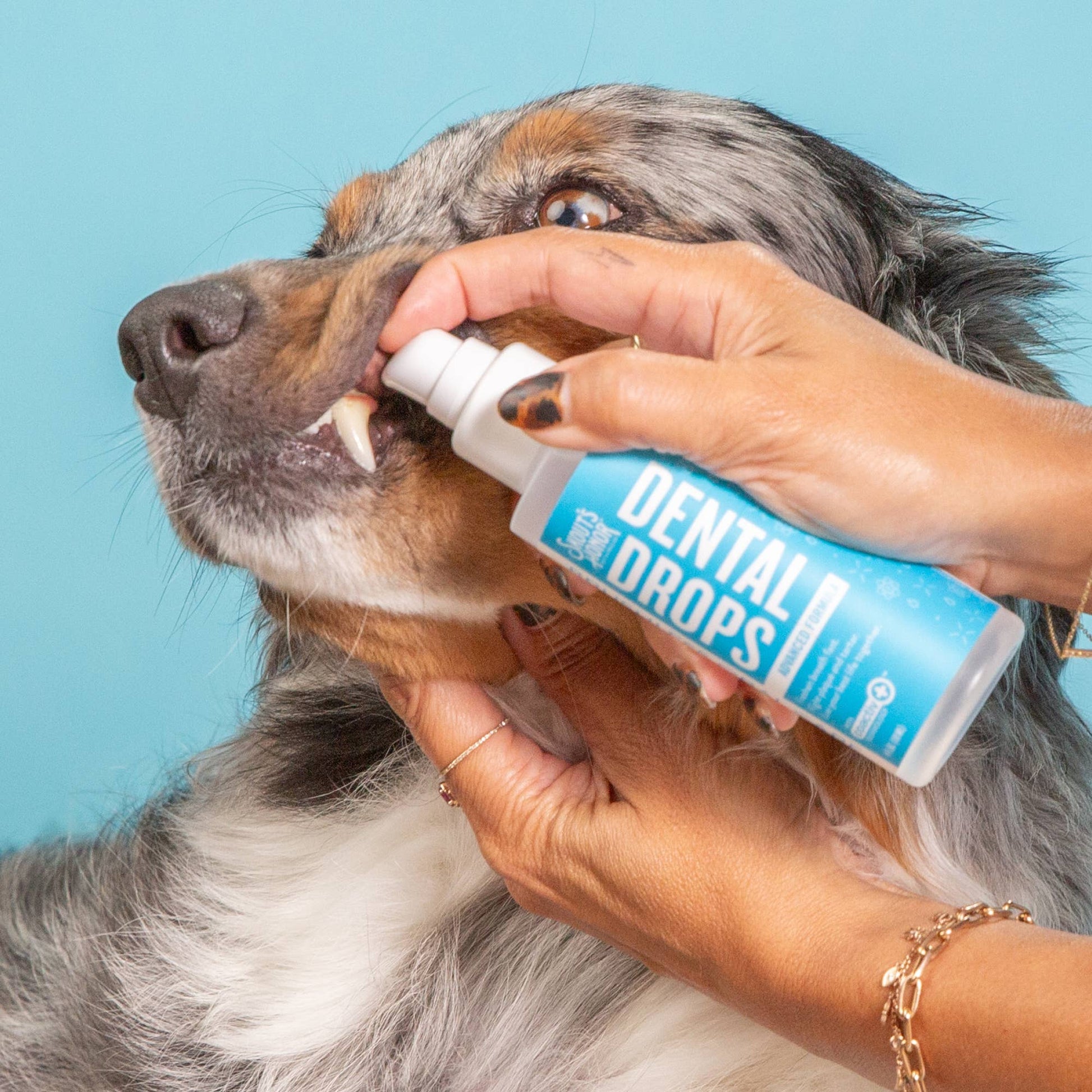 Skout's Honor Advanced Dental Drops 4oz