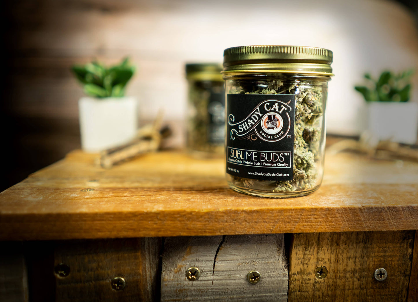 SUBLIME BUDS | Whole Catnip Flowers | Elevated Pet Gift