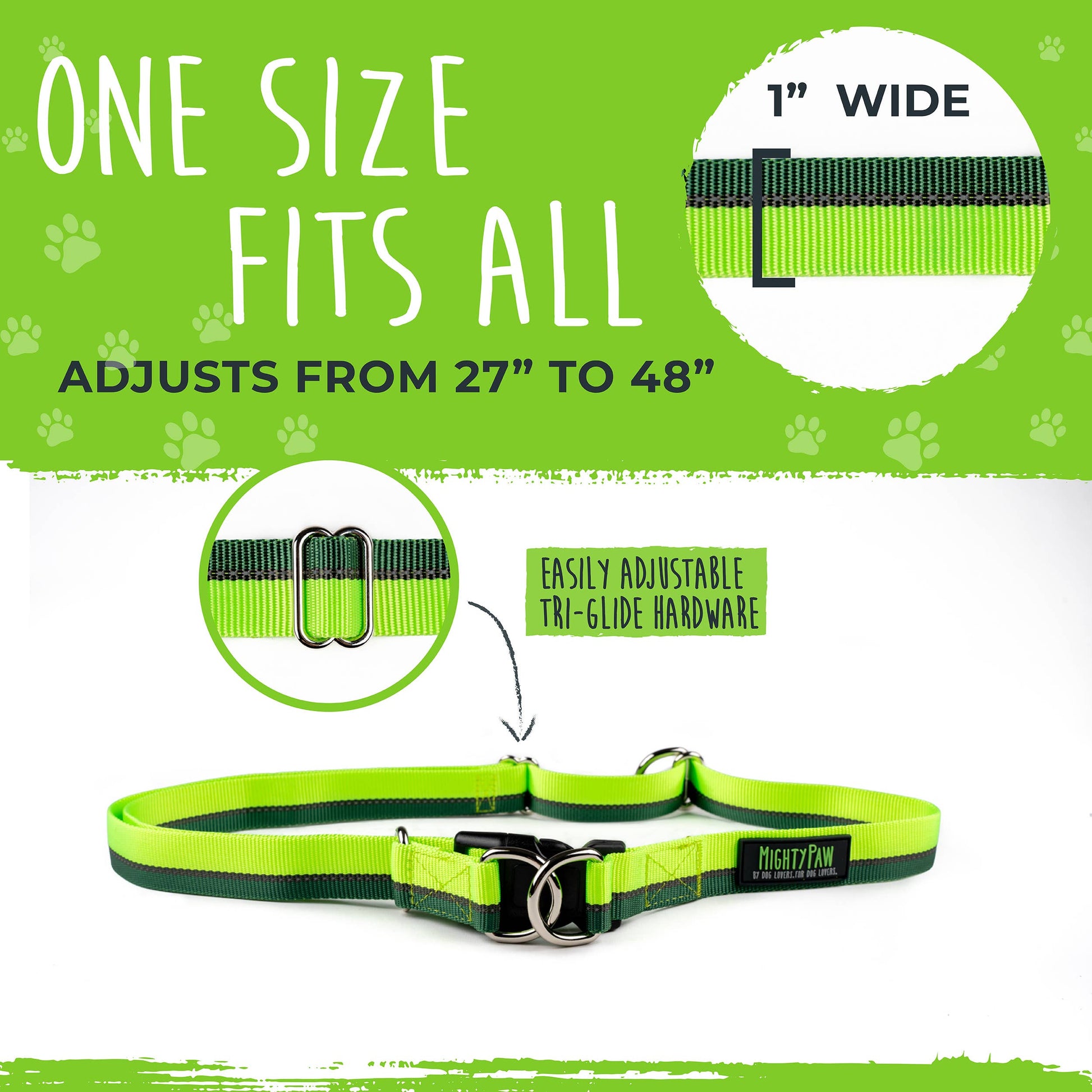 Hands Free Bungee Leash 2.0