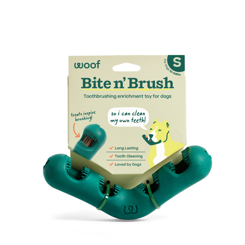 The Bite n' Brush