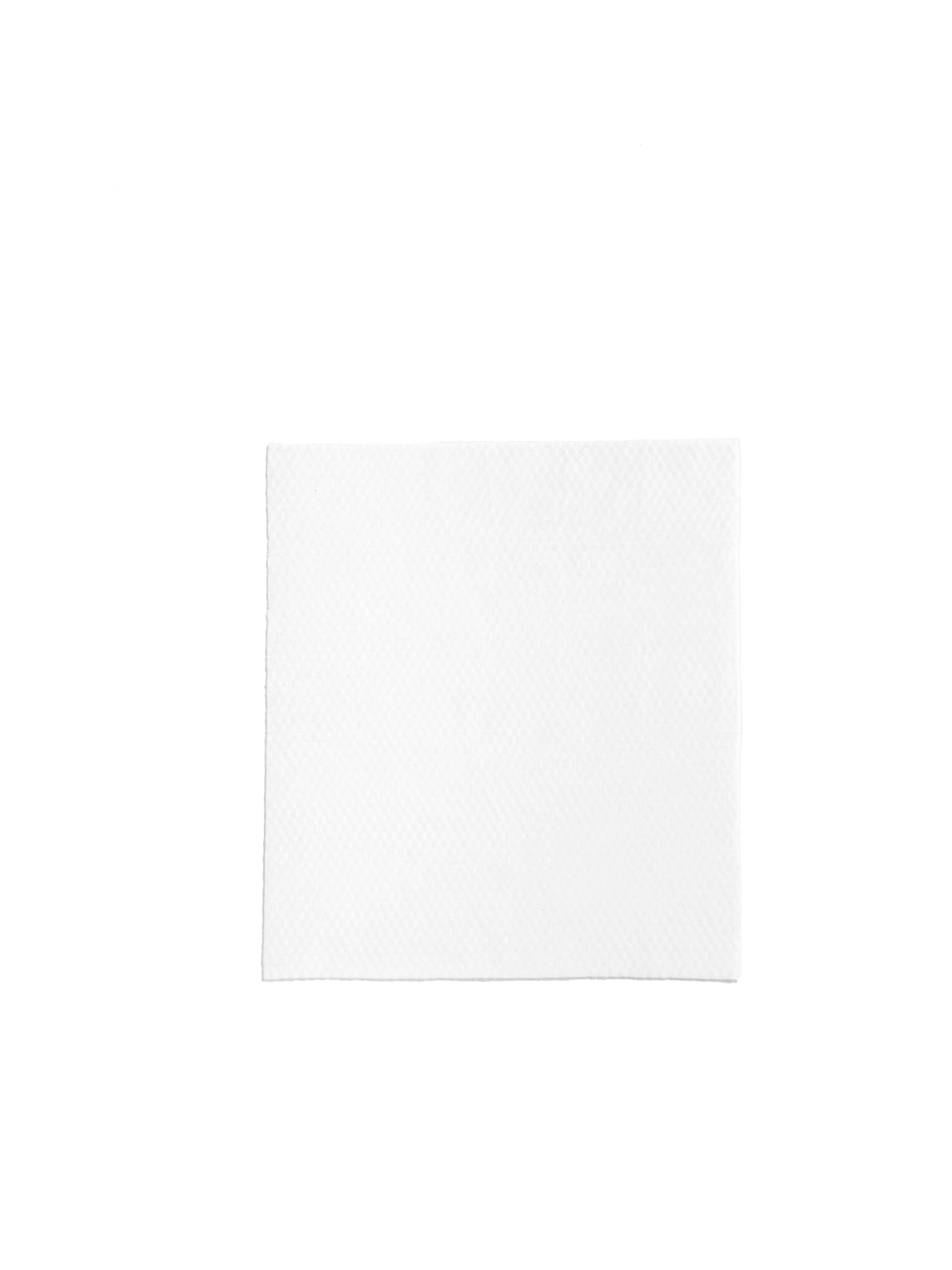 Earth Rated Unscented Dog Grooming Wipes 100ct