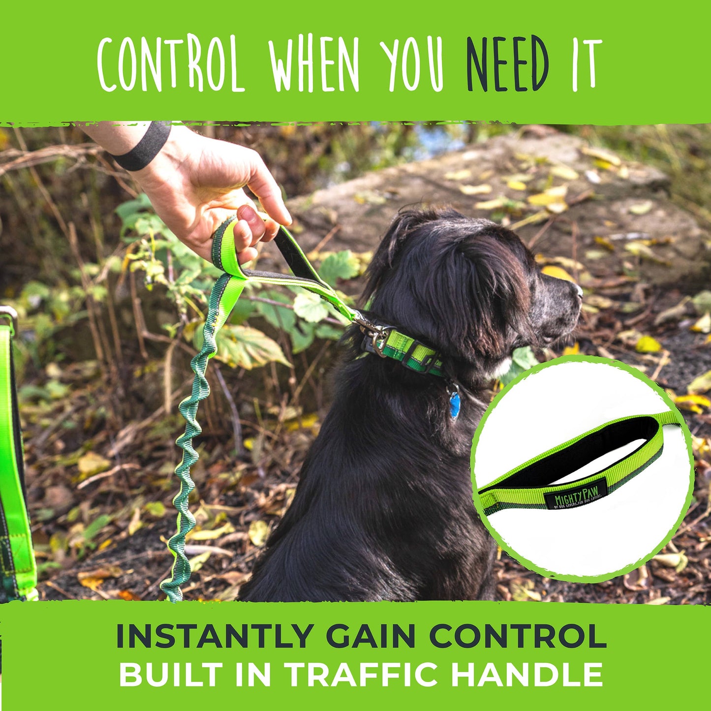 Hands Free Bungee Leash 2.0