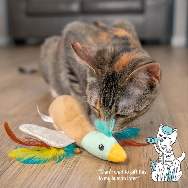 Catstages Flapperz Duck Cat Toy Brown