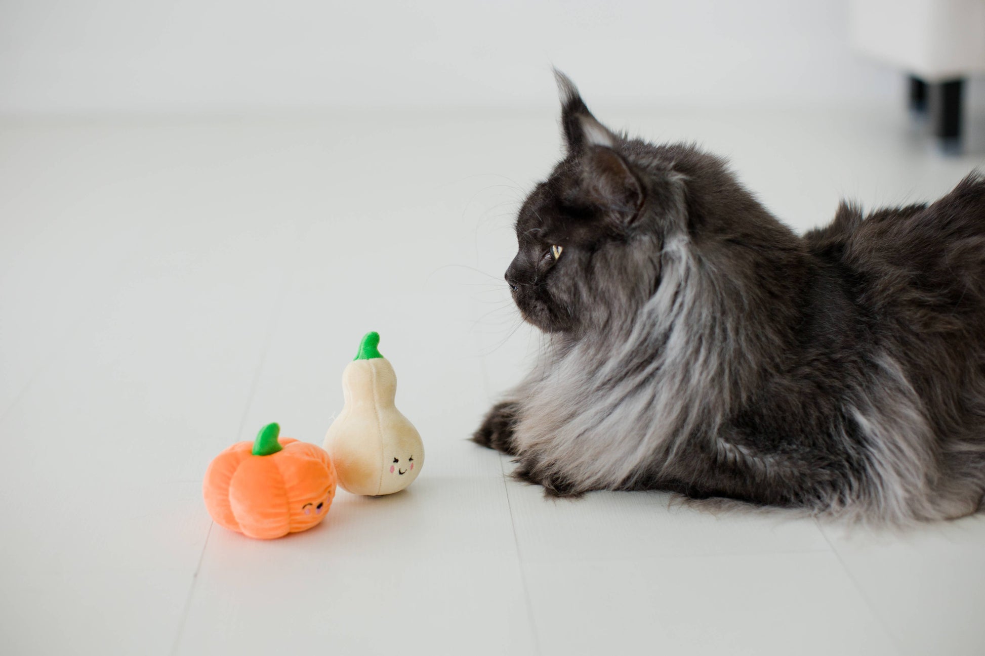 Pearhead Oh My Gourd Cat Toy Set