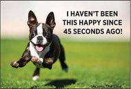 Magnet-I haven't been this happy since 45 seconds ago!