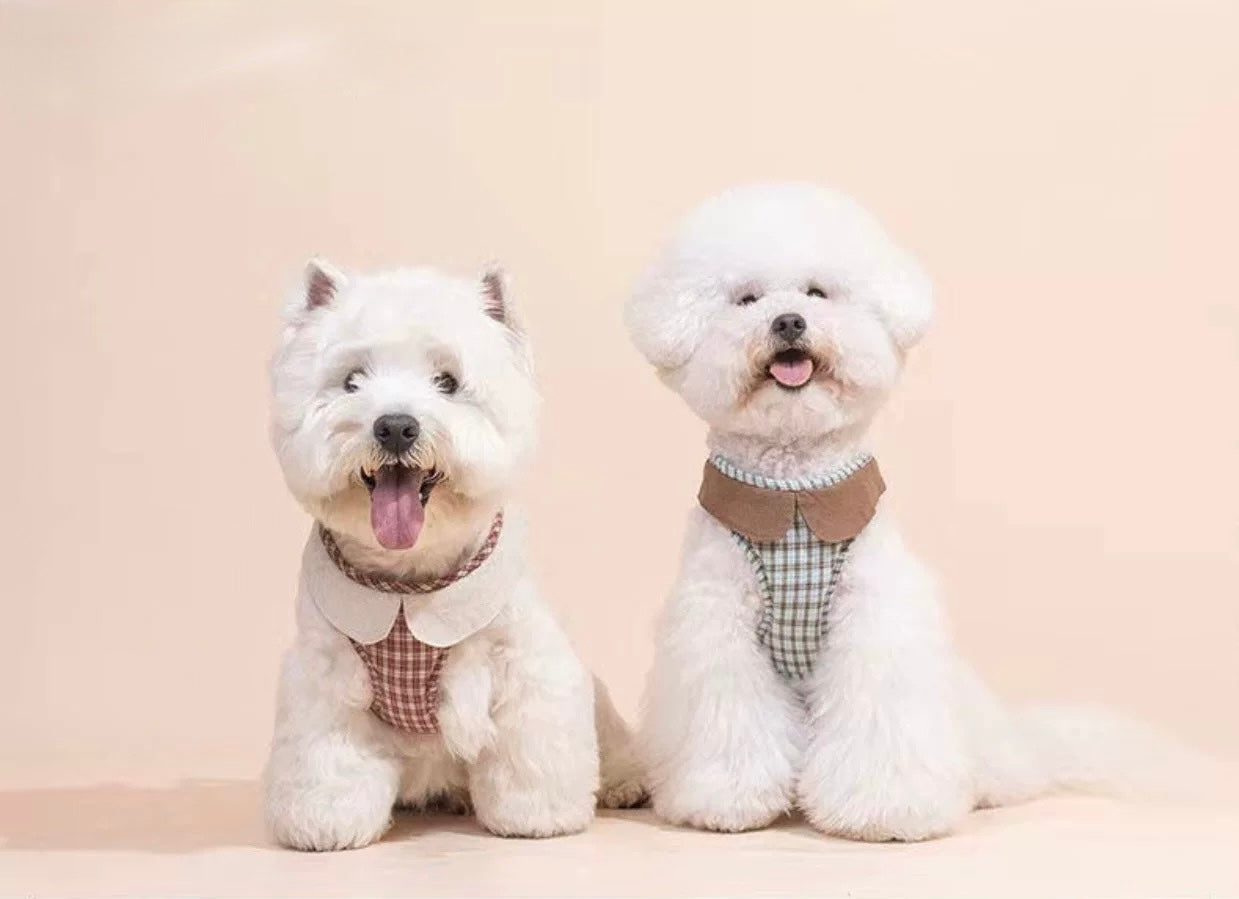 Plaid Harness + Leash Set