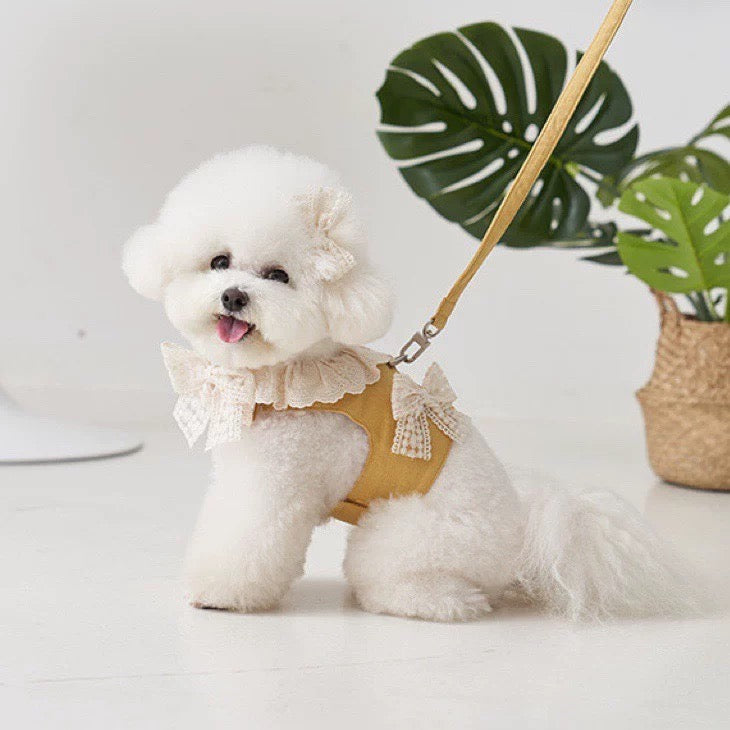 Lace Ribbon Harness +Leash Set, Mustard Yellow