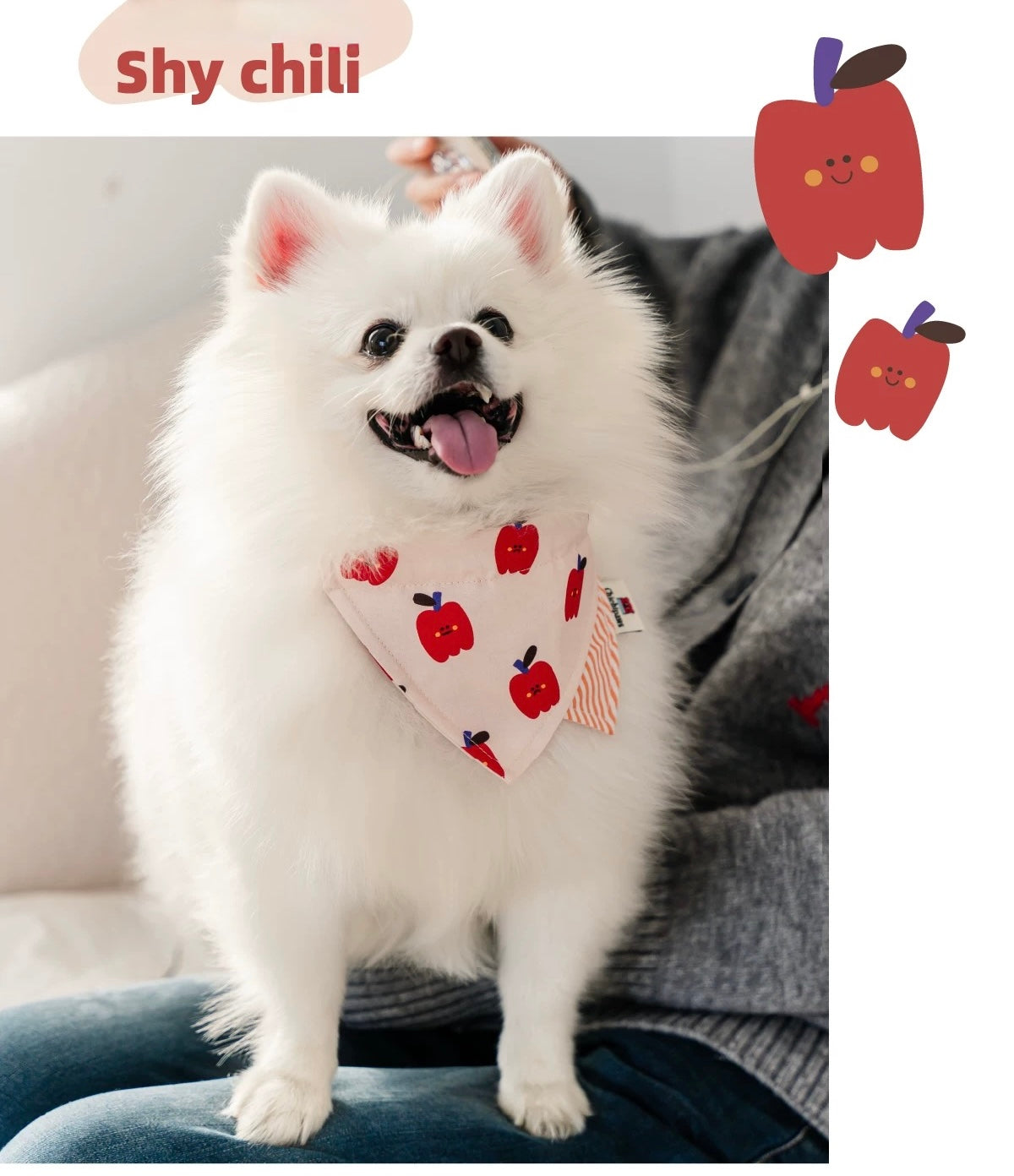 Chichipaws Pet Bibs