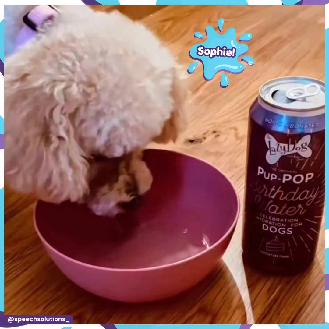 Lazy Dog Pup-POP Birthday Water Vanilla Cake Flavor 1ct