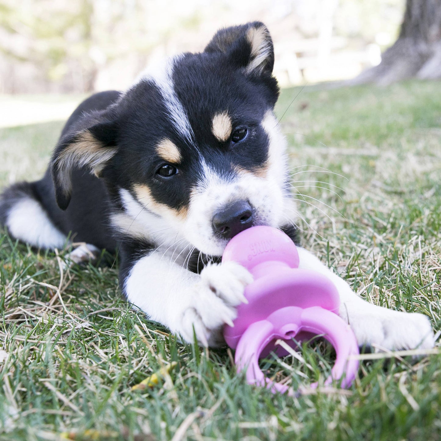 KONG® Puppy Binkie™ Chew Toy Small