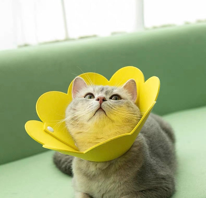 Adjustable Sun Flower Cone