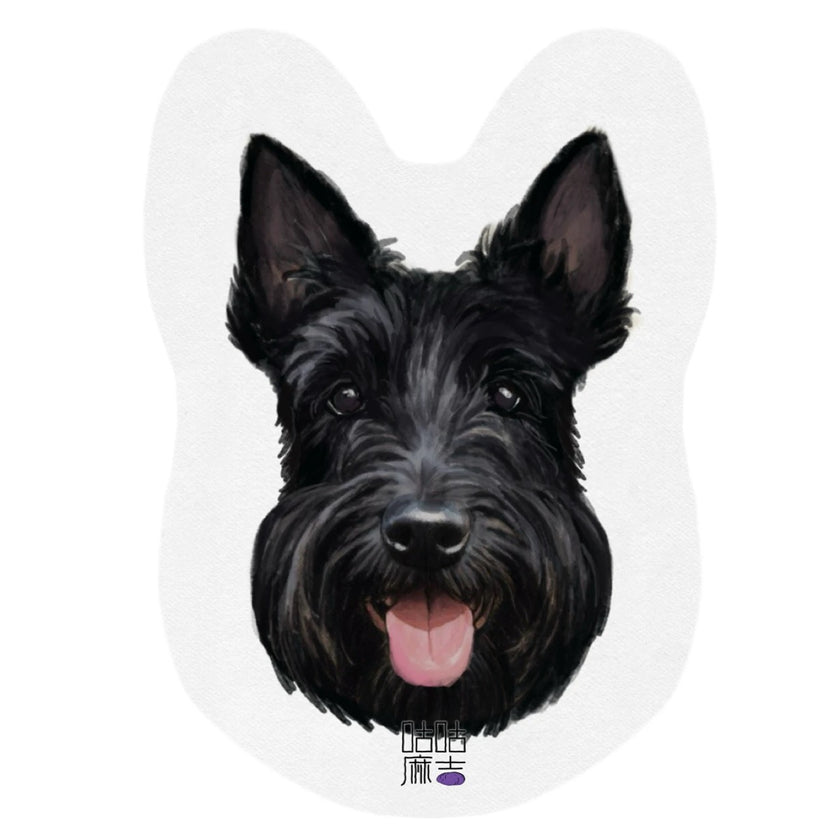 Air Freshener