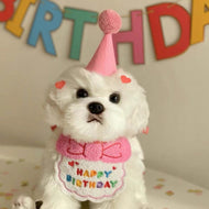 Birthday Bibs