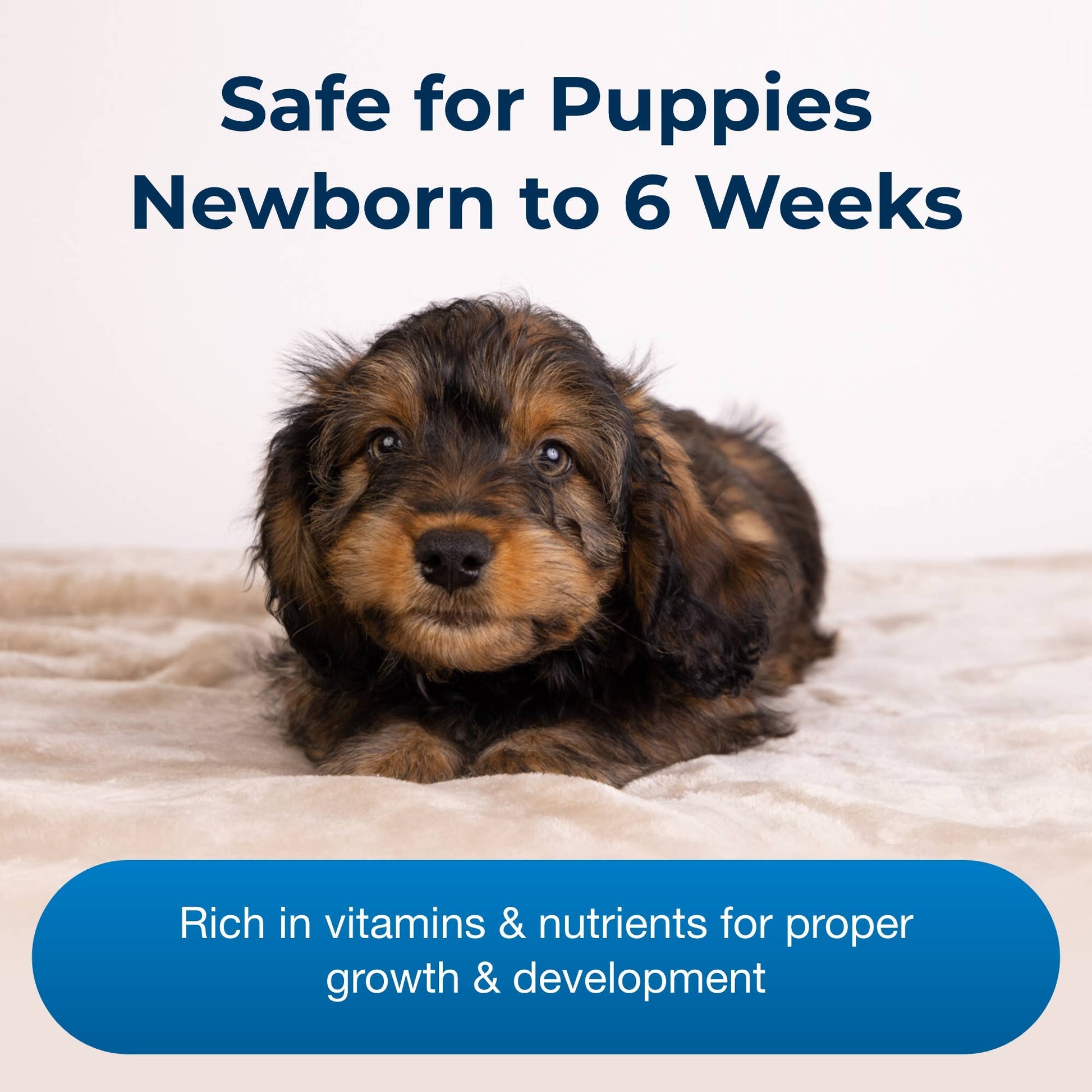 Esbilac Powder, 12 oz. for puppy