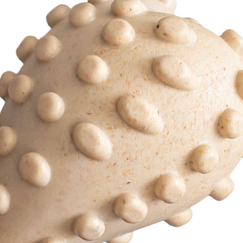 BetterBone Hard Beef Dog Chew Toy Small