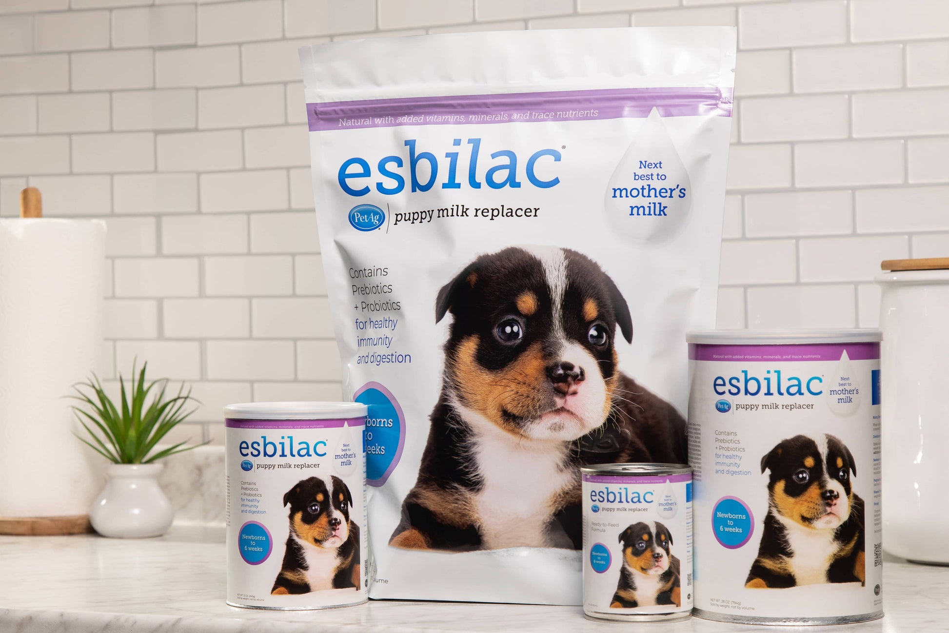 Esbilac Powder, 12 oz. for puppy