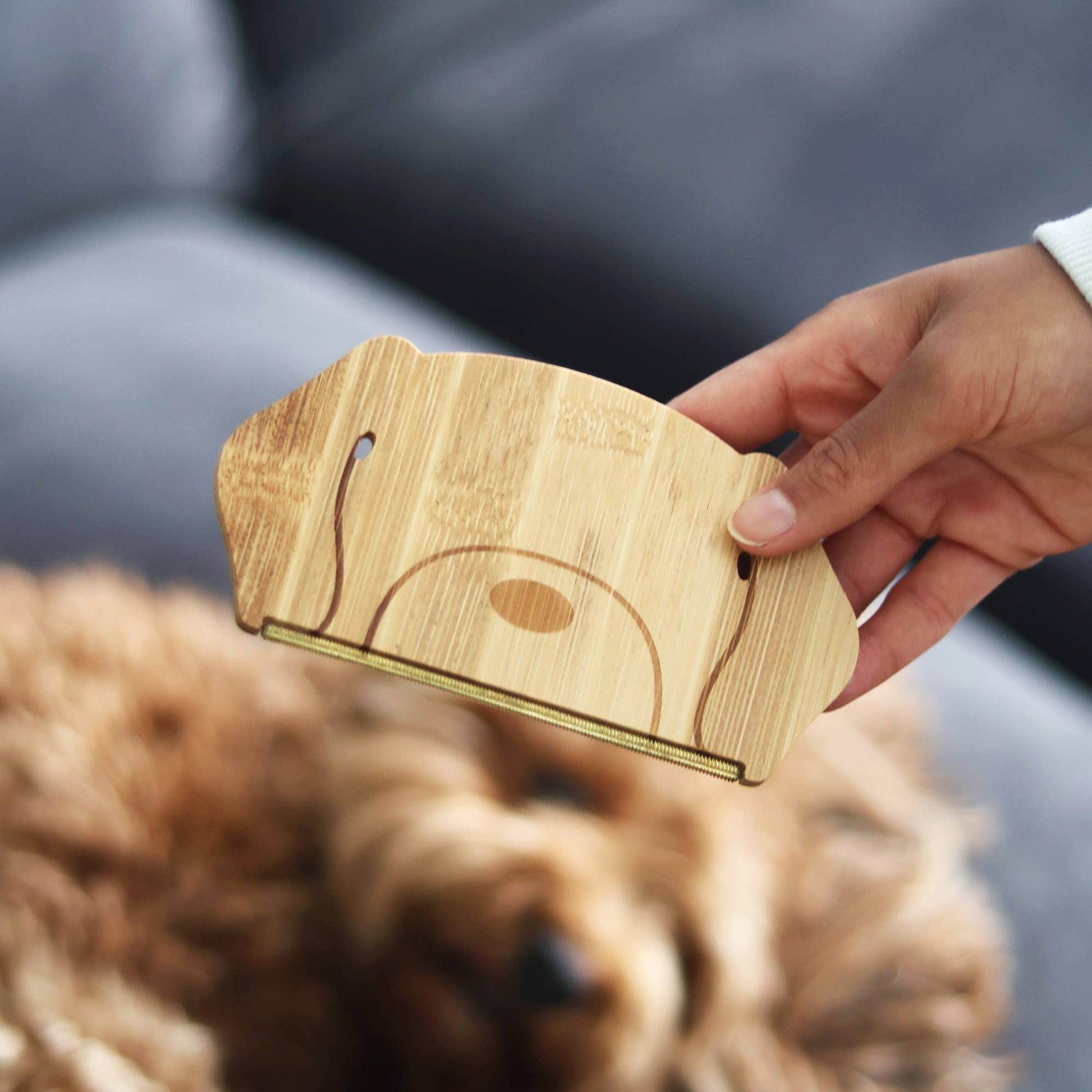 Dog Hair Remover | Pet Hair Remover | Reusable Lint Remover 1ct