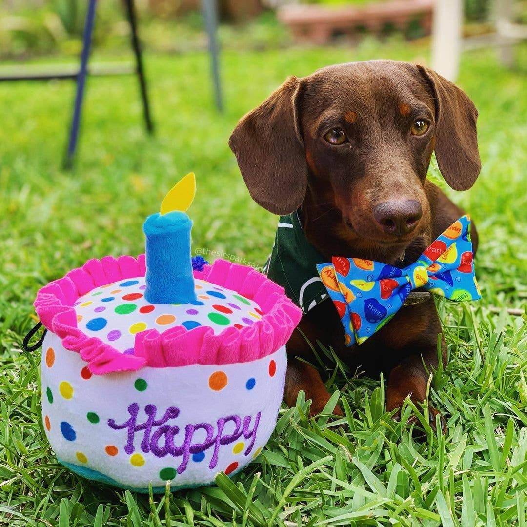 Party Time Blue Bow Tie