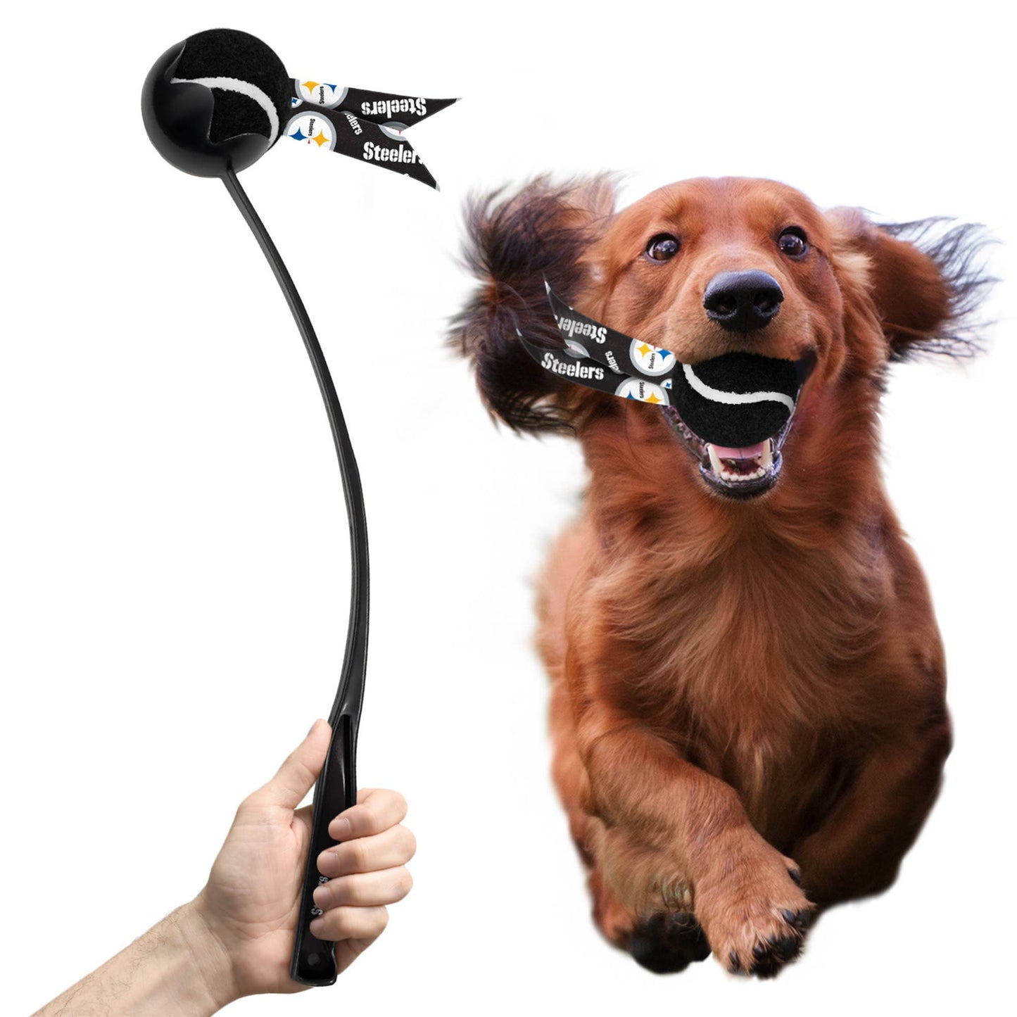NFL Pittsburgh Steelers Pet Ball Launcher
