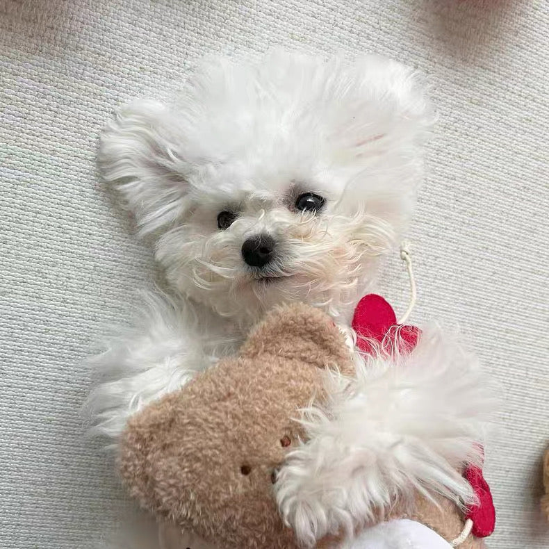 Snuffle Dog Toy