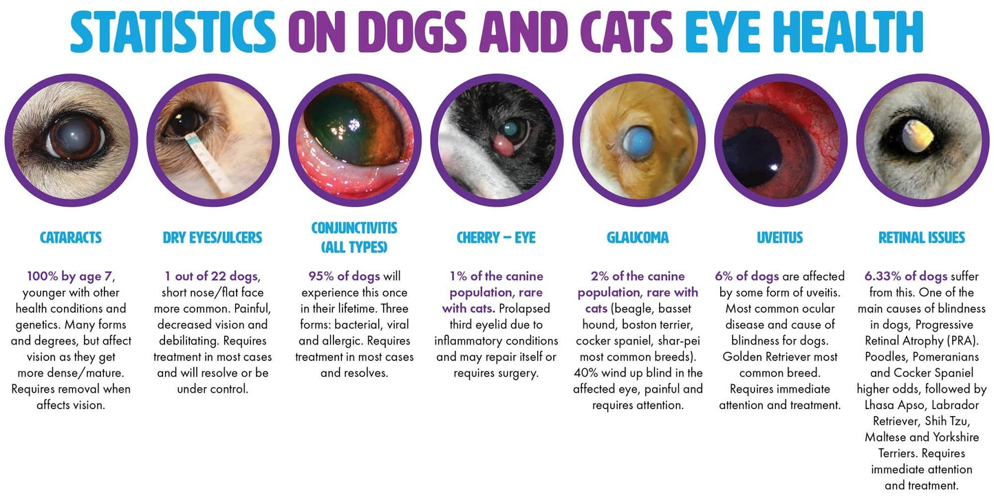 Pet Eyez Vitamin Powder For Dogs & Cats Chicken 120 Scoops