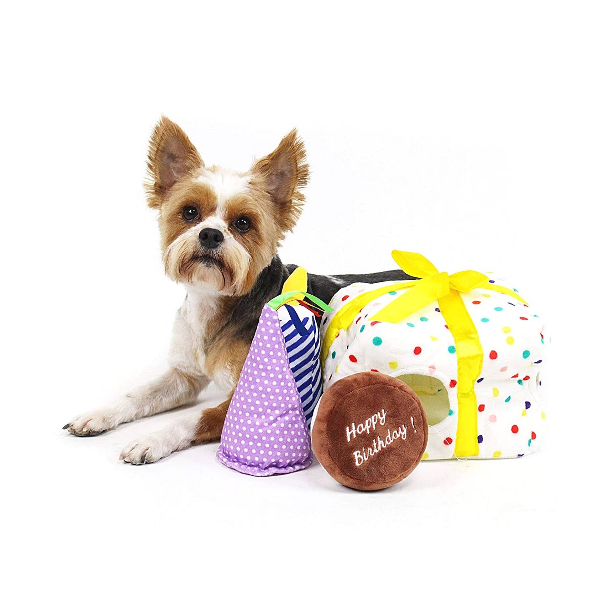 Midlee Birthday Present Find A Toy Dog Toy