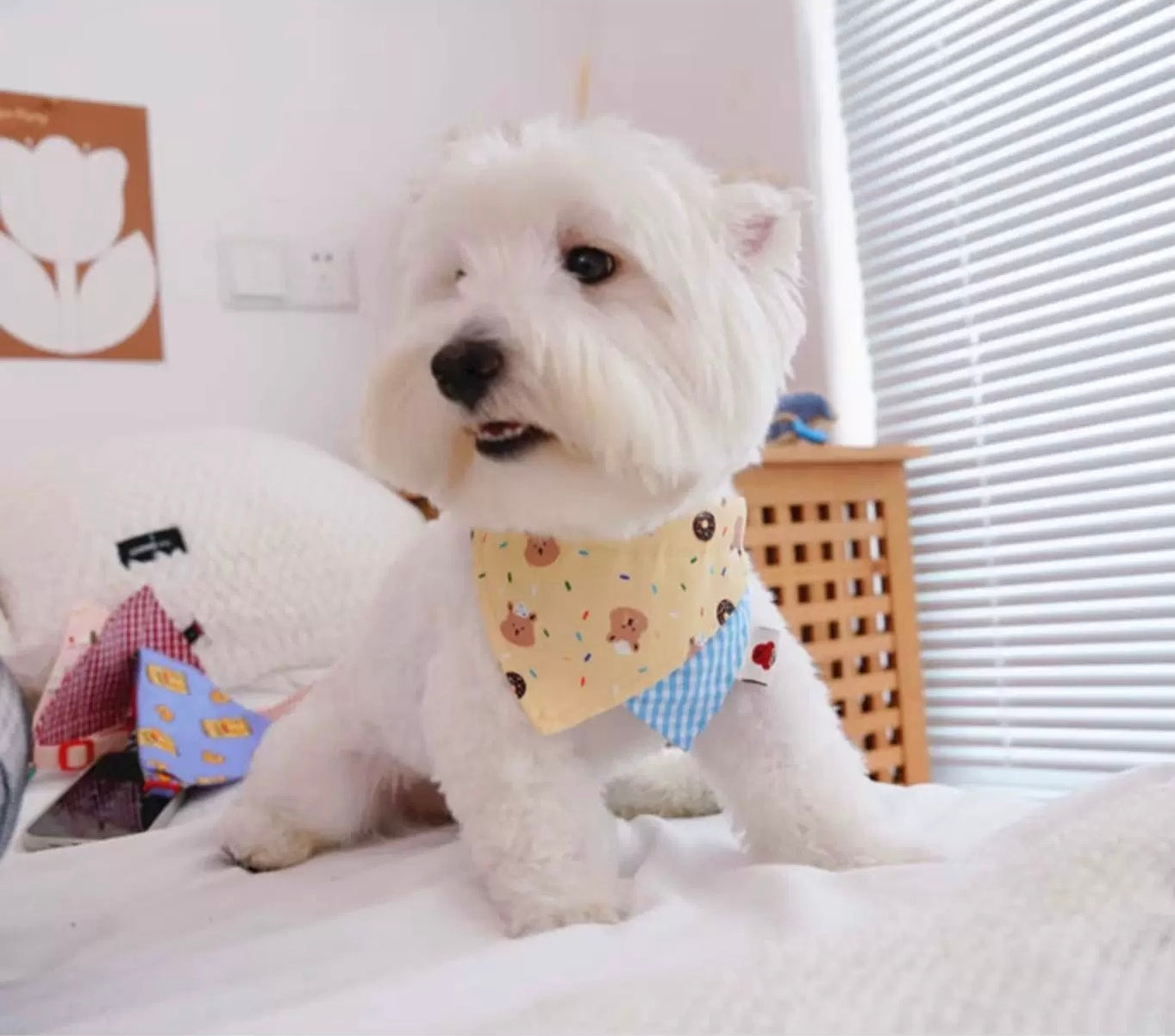 Chichipaws Pet Bibs
