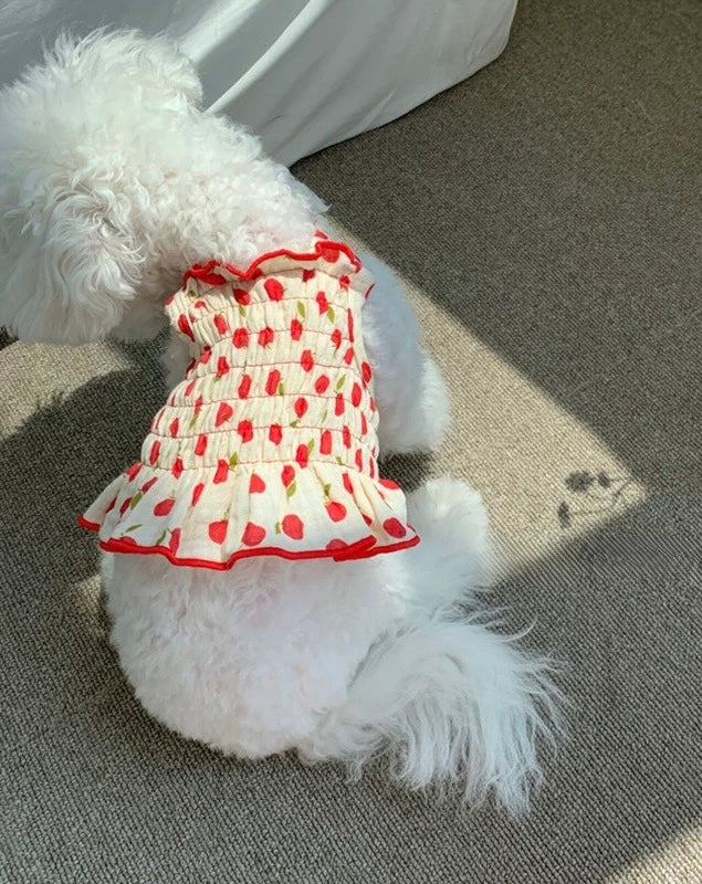 Summer Vibes Dress