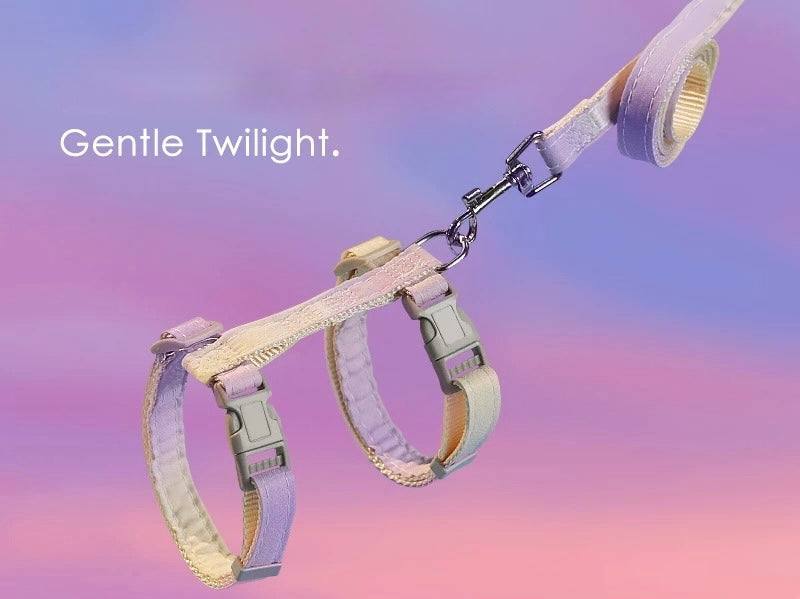 Sunset Harness + Leash Set, Small