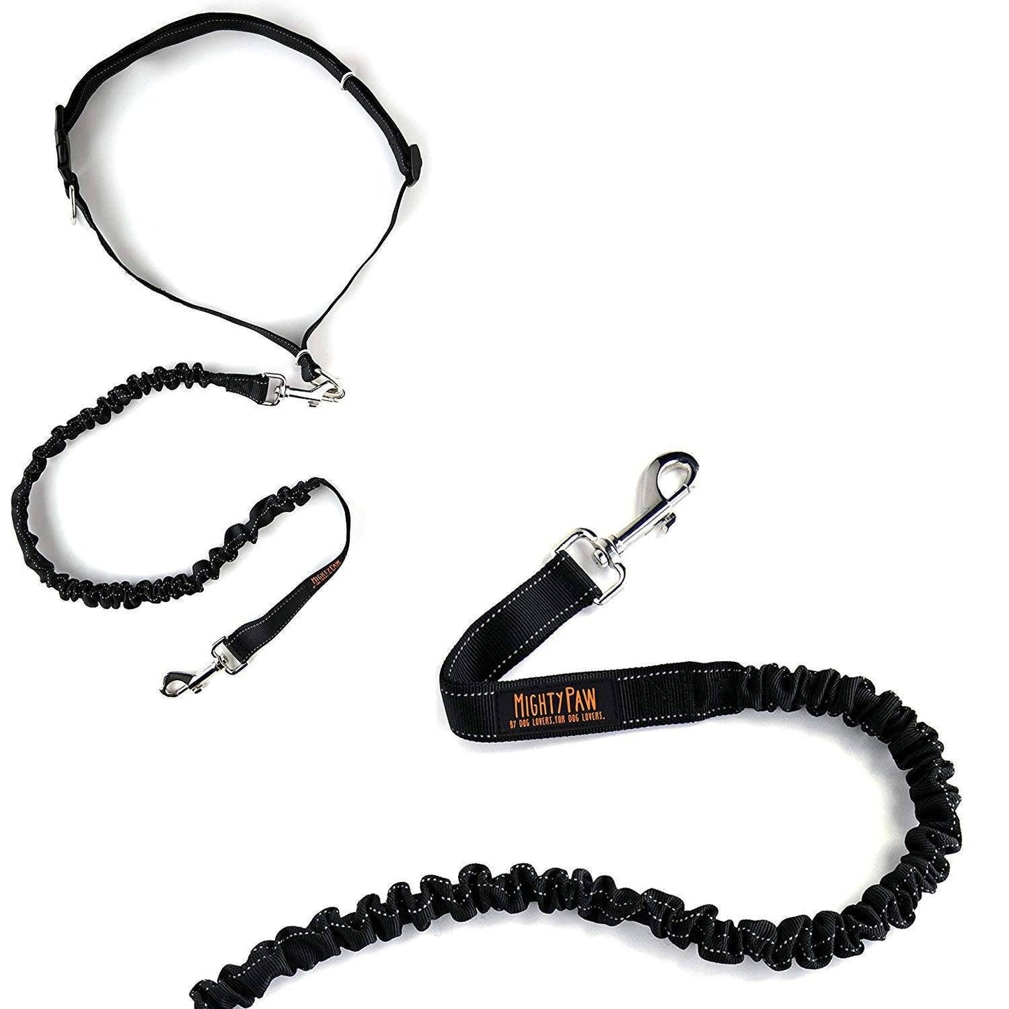 Hands Free Bungee Leash Set