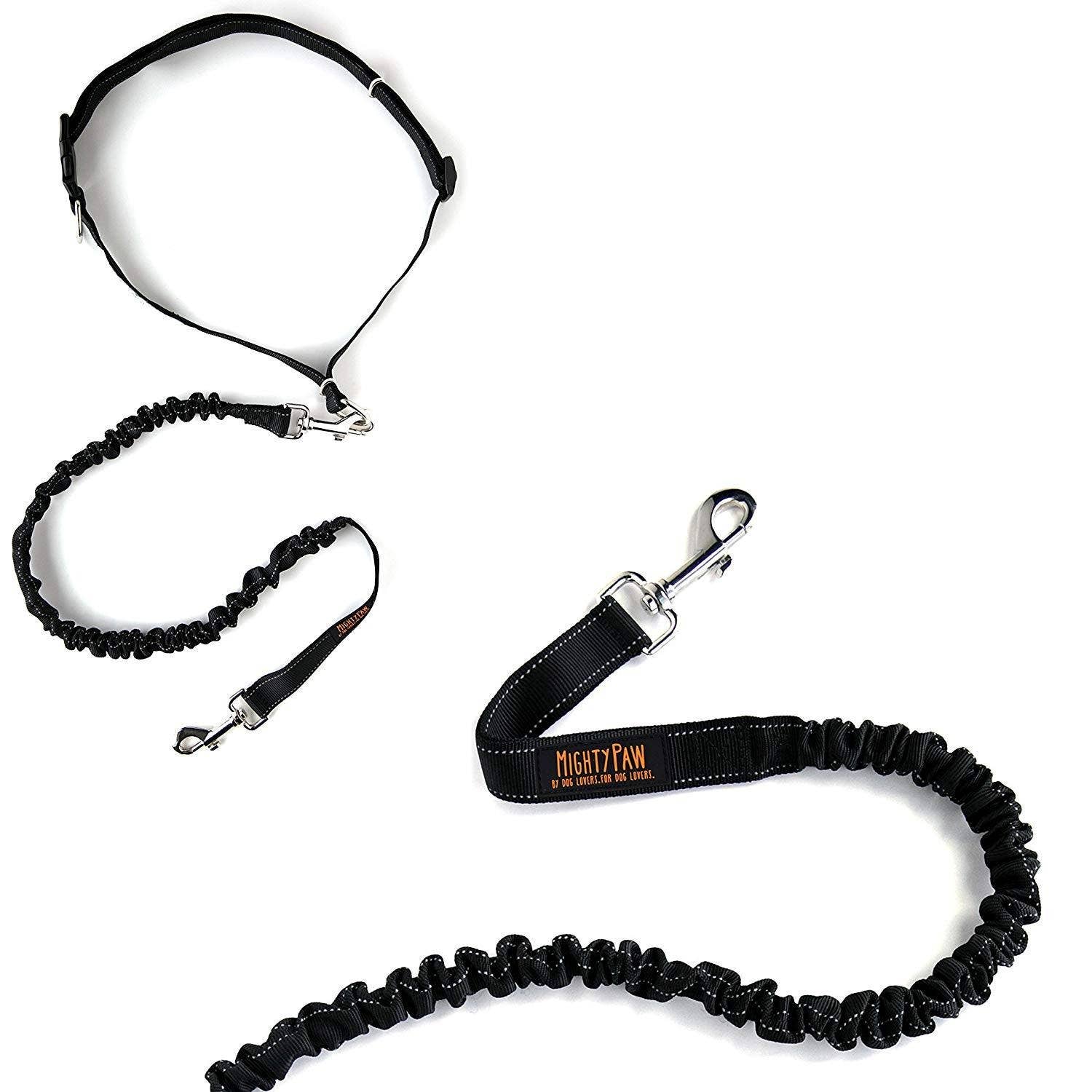 Hands Free Bungee Leash Set