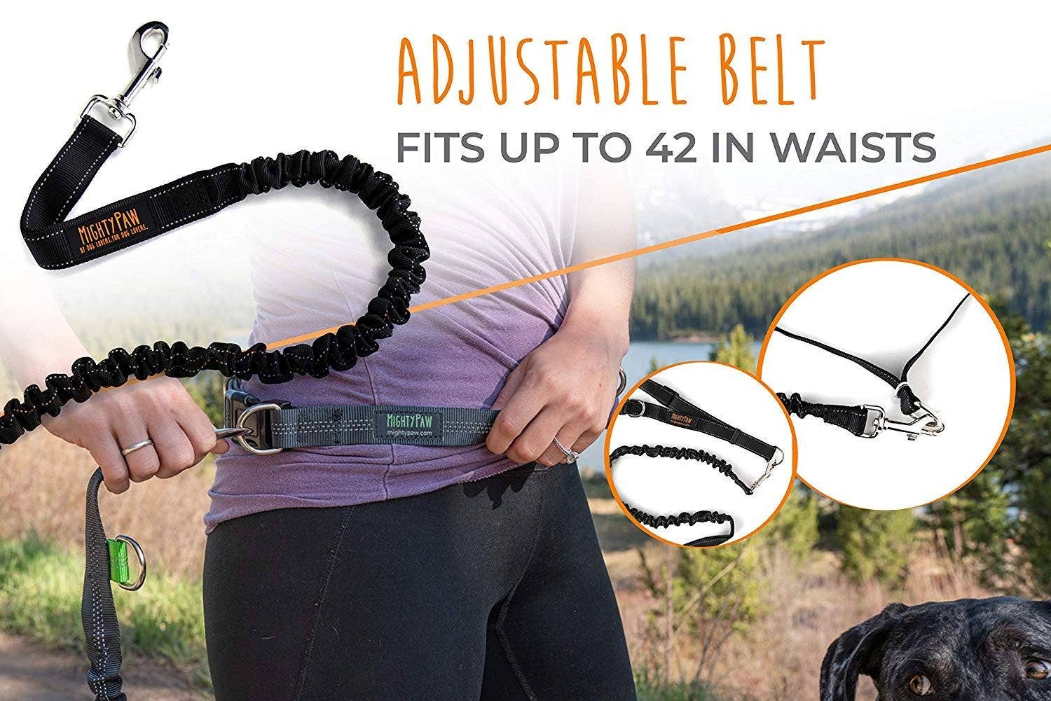 Hands Free Bungee Leash Set