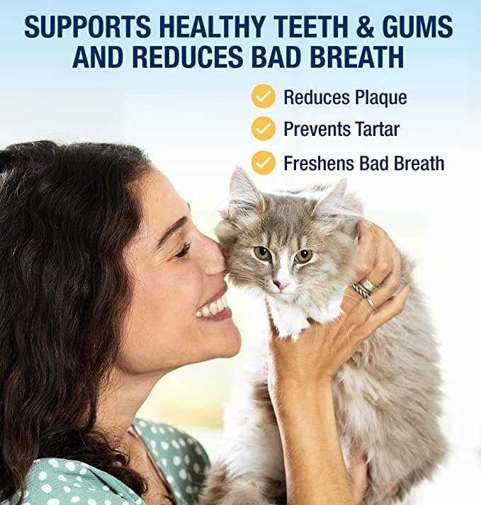 PlaqueOff Powder 40 Gram Bottle For Cats