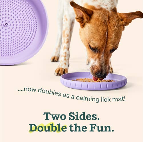 Woof - Fly n' Feed