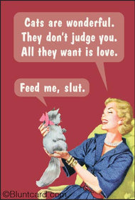 Magnet-Cats are wonderful. They don't judge you….