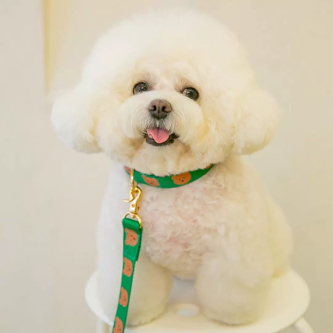 Bear Print Collar & Leash
