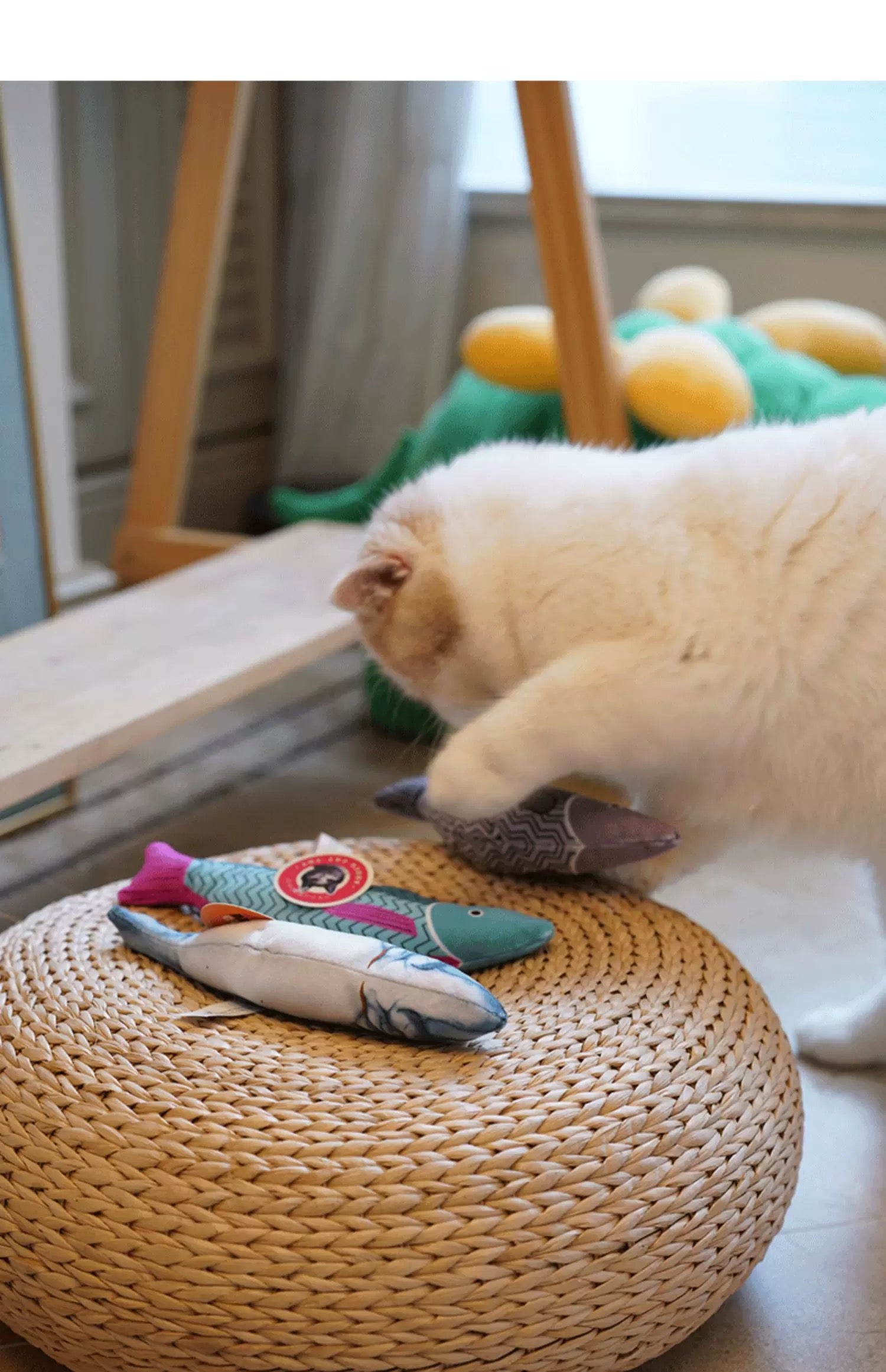 Sound Fish Plush Toy