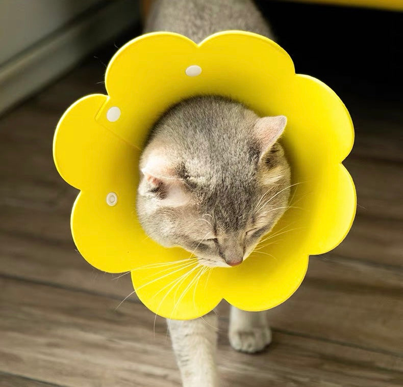Adjustable Sun Flower Cone