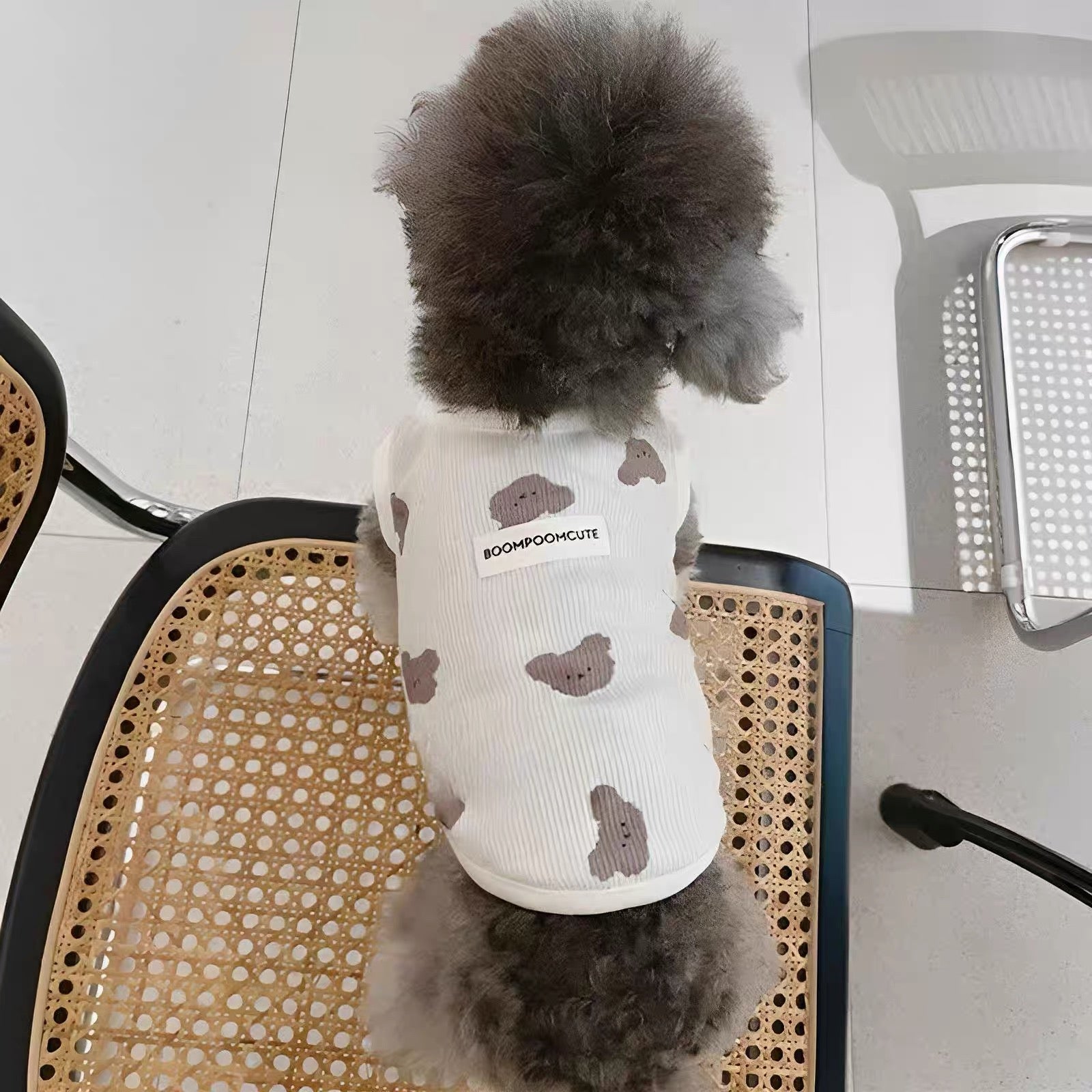 Teddy Bear Summer Vest