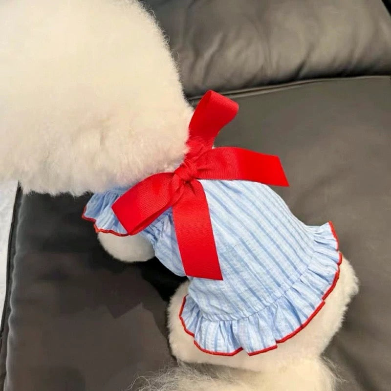 Big Red Ribbon Blue Dress