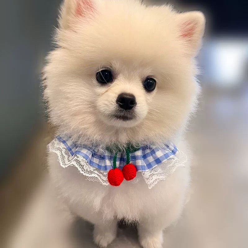 Bib Style Harness + Leash Set