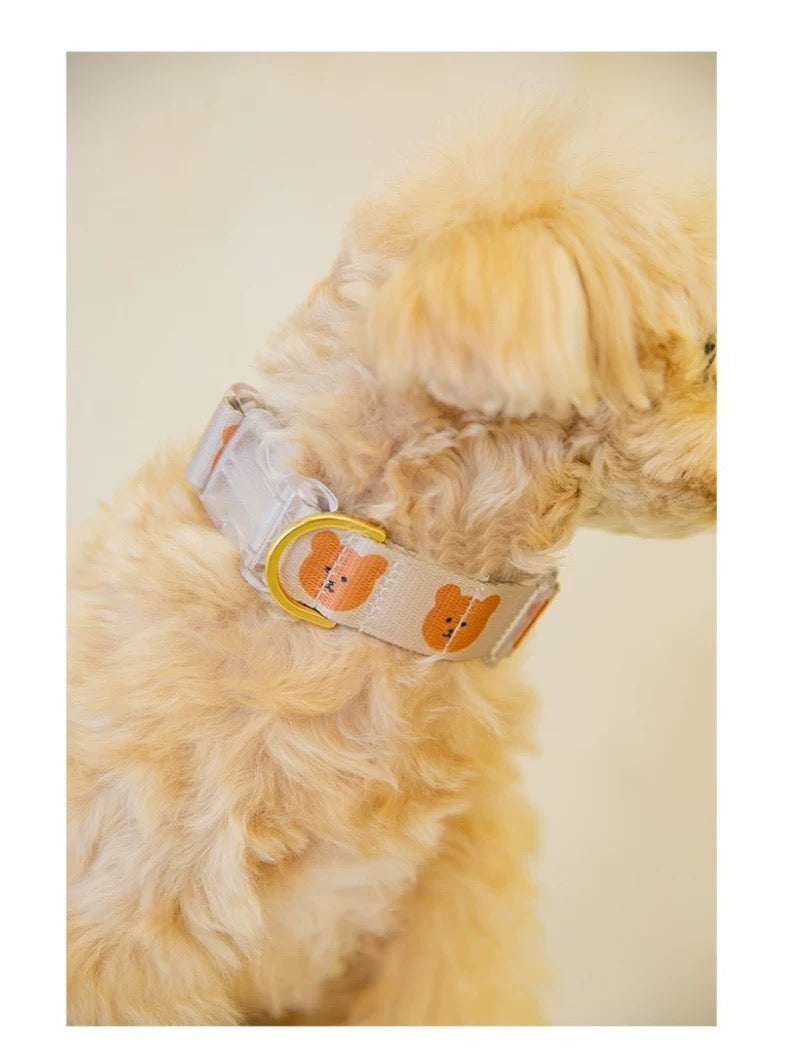 Bear Print Collar & Leash