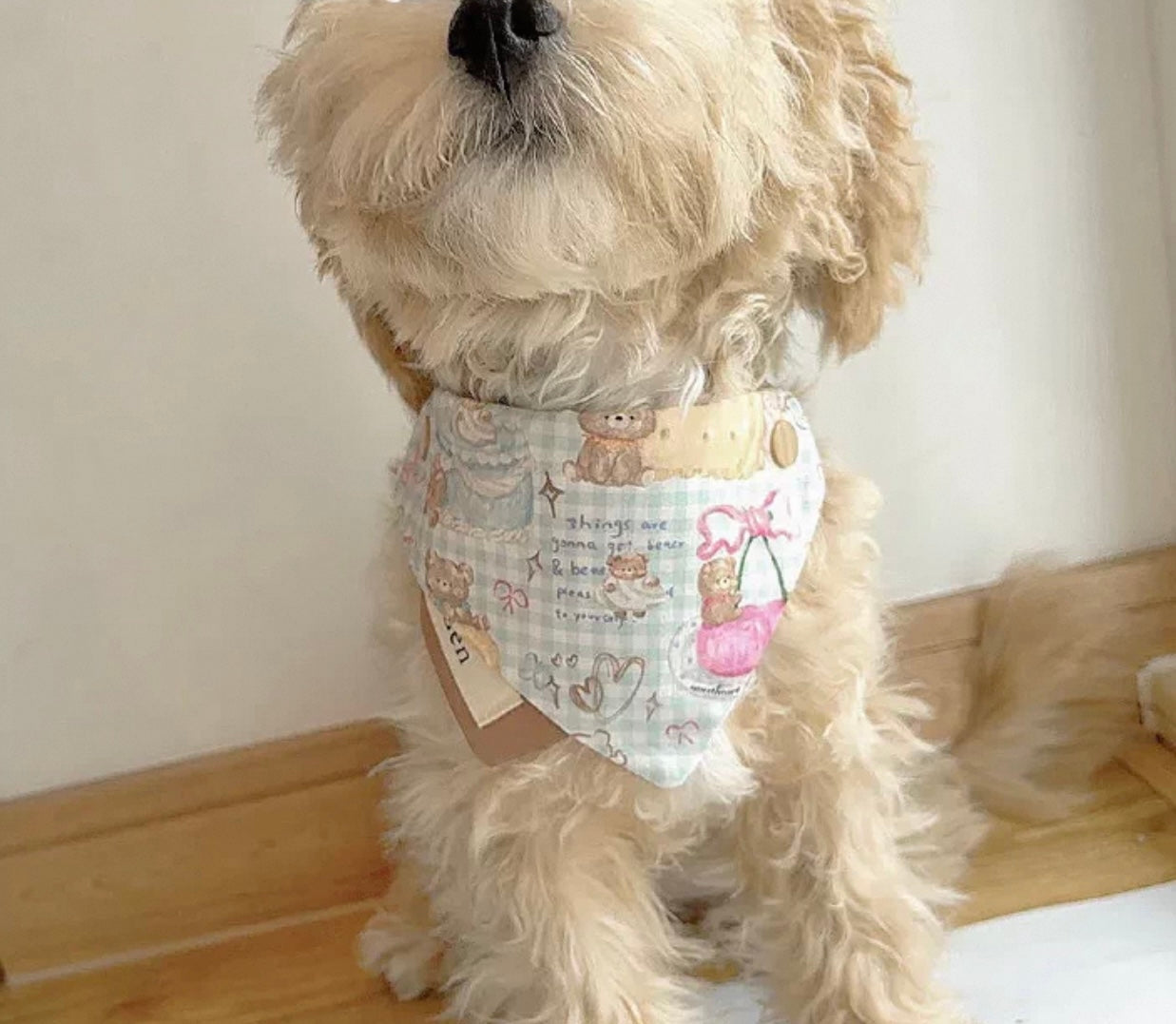 Teddy Bear Bibs, Dog & Cat