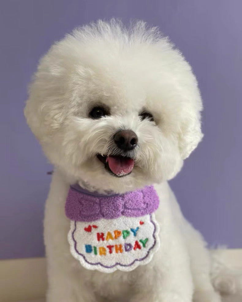 Birthday Bibs