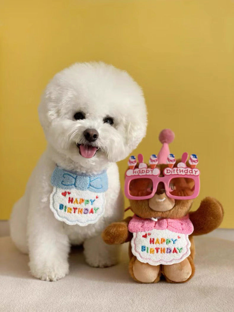 Birthday Bibs