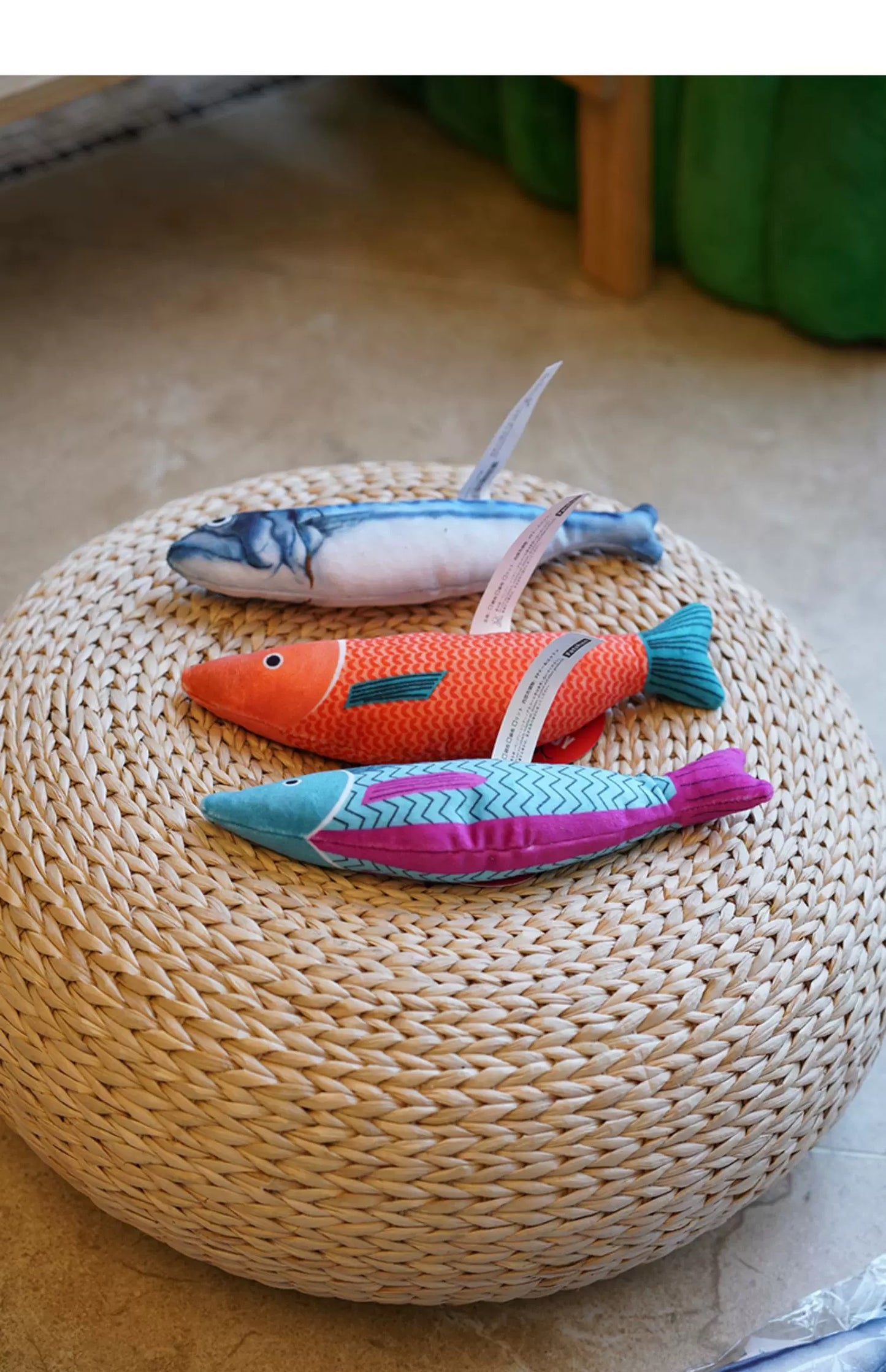 Sound Fish Plush Toy