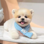 Bear Scarf, Sky Blue