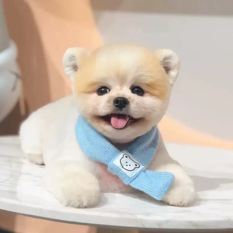Bear Scarf, Sky Blue